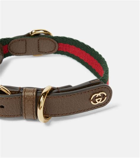 collier gucci pour chat|gucci leather dog collars.